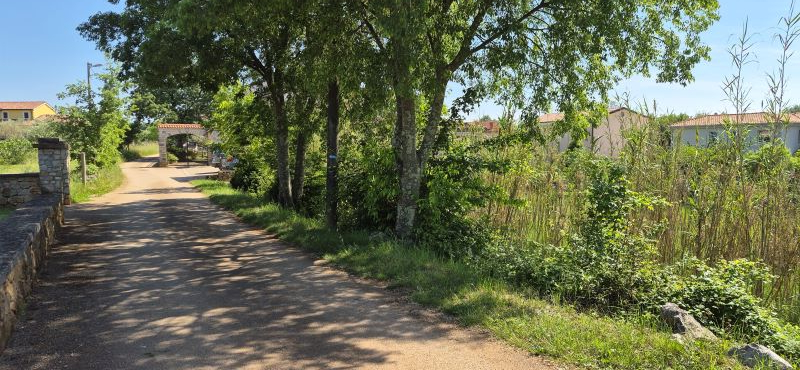 800