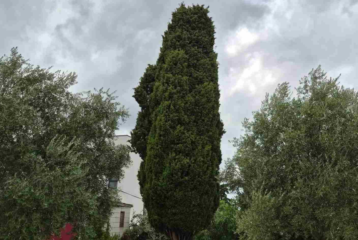 1170